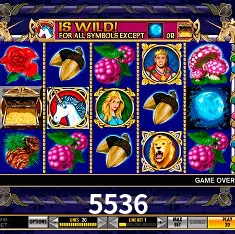 Descubra o Mundo do Cassino Online com 5536